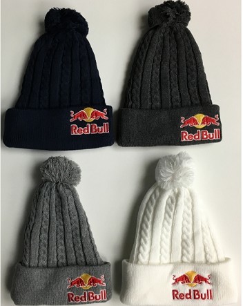 Gpコレクションホビー館 レッドブルアスリート Pombeanie